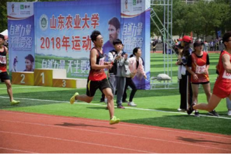 FOOD sports day-54
